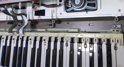 卡西欧PX130按键导电胶维修 设备维修与研发 中国电子琴在线论坛